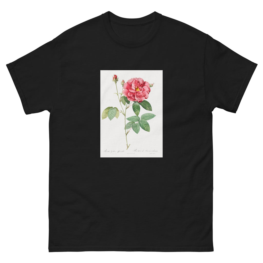 Black T-shirt French Rose Also Known As Ordinary Provins Rosebush Rosa Galluca Offuenalis Essential