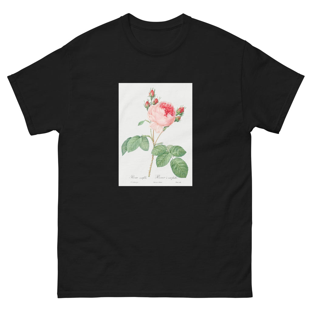 Black T-shirt Cabbage Rose Also Known As One Hundred-Leaved Rose Rosa Centifolia Essential