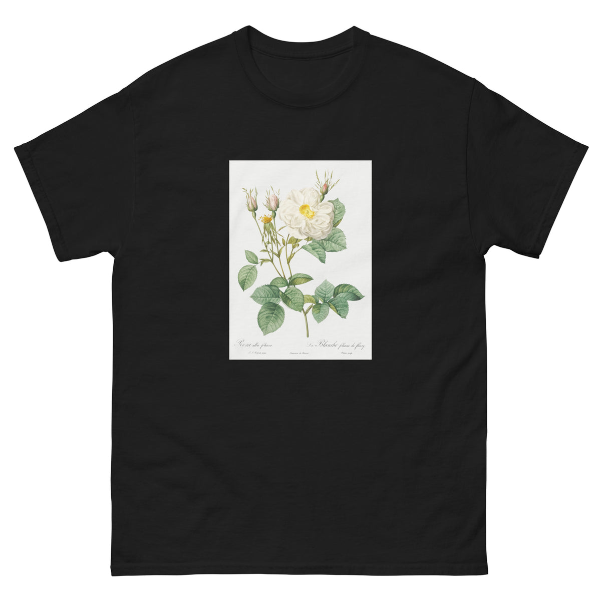 Black T-shirt Rosa X Alba Also Known As The White Leaf Of Fleury Rosa Alba Foliacea Essential