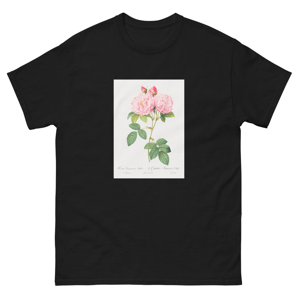 Black T-shirt Italian Damask Rose Also Known As The Four Seasons Of Italy Rosa Damascena Italica Essential