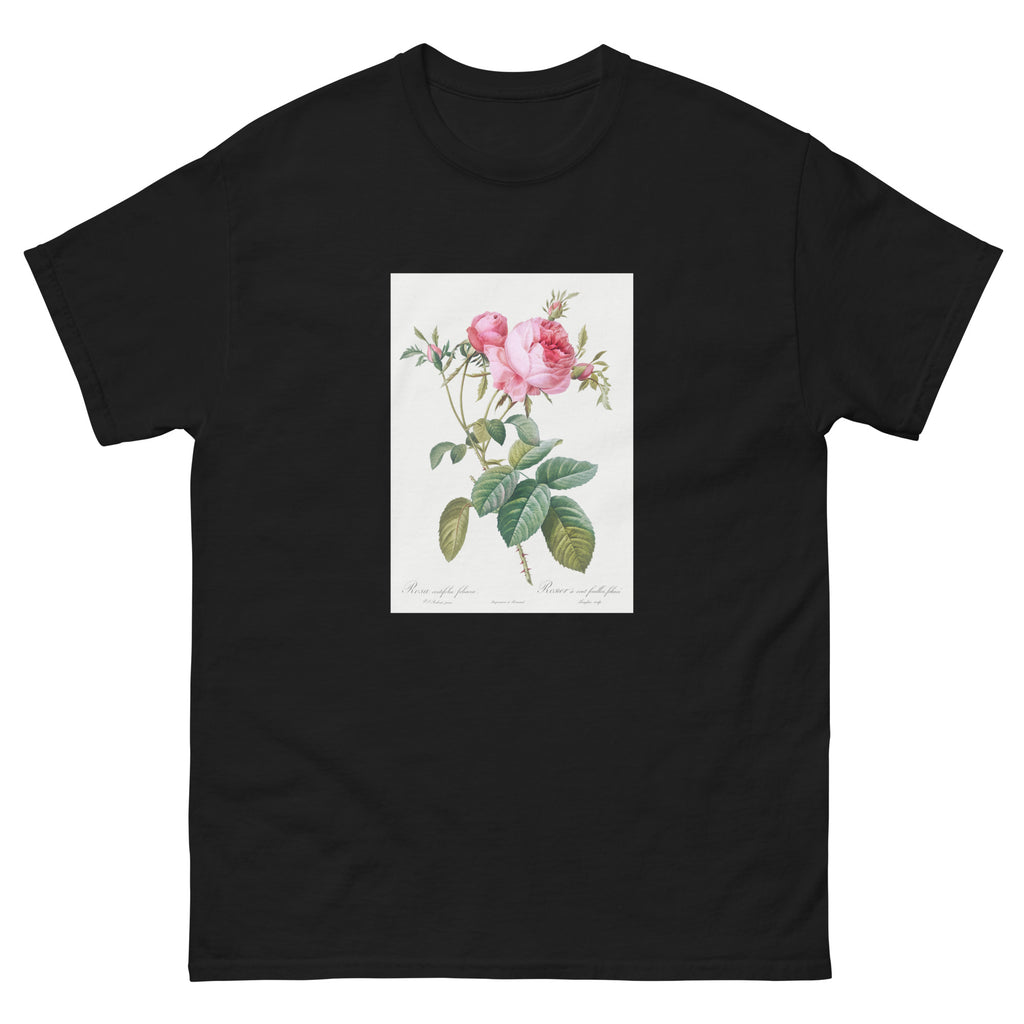 Black T-shirt Rose De Mai Rosa Centifolia Foliacea Essential