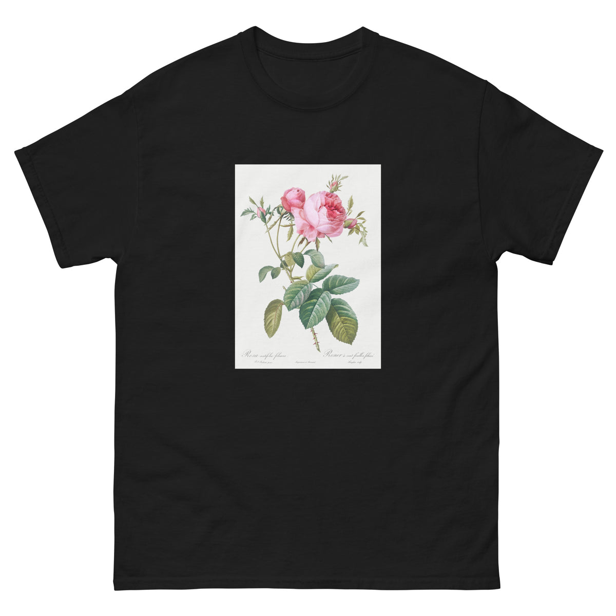 Black T-shirt Rose De Mai Rosa Centifolia Foliacea Essential
