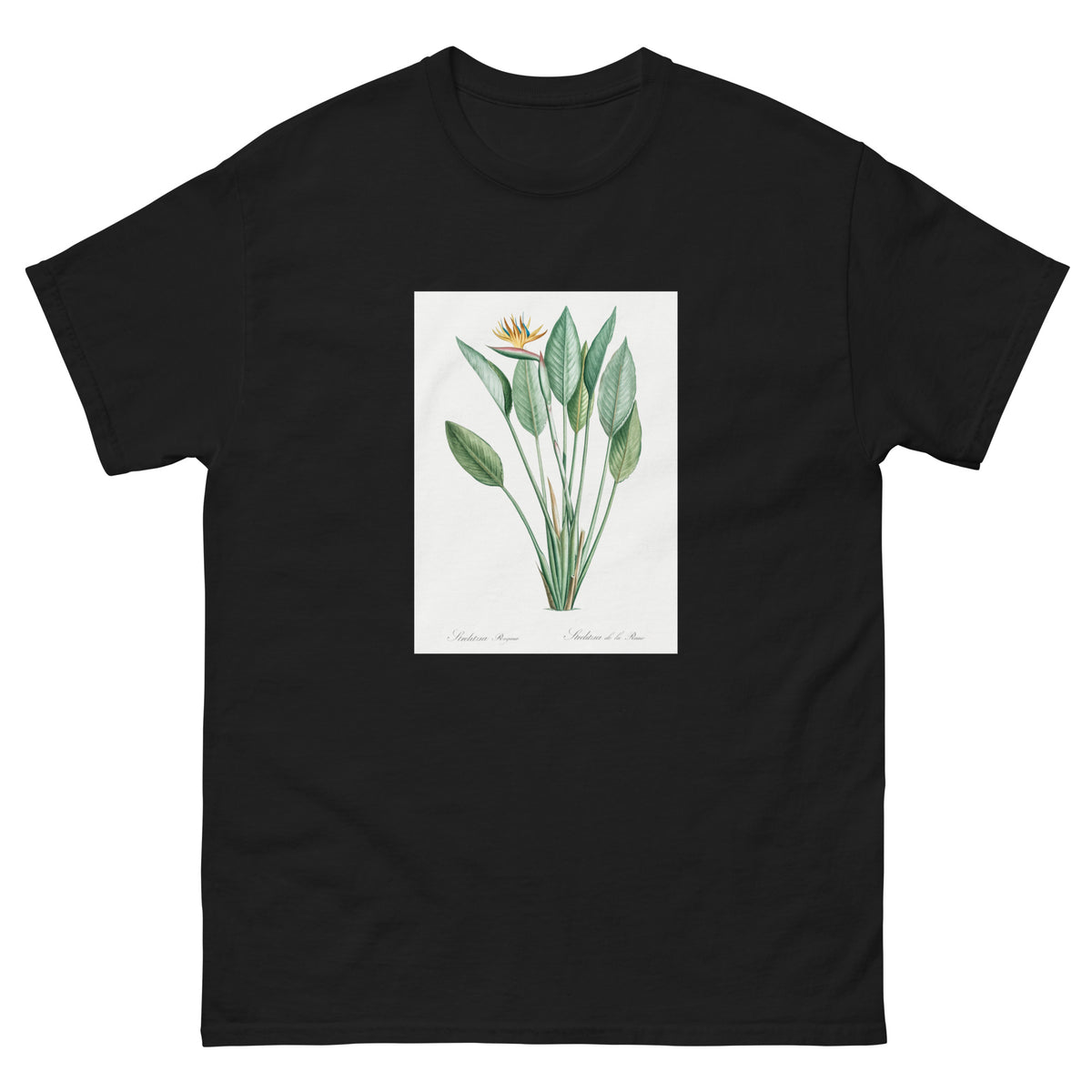 Black T-shirt Bird Of Paradise Illustration II Essential