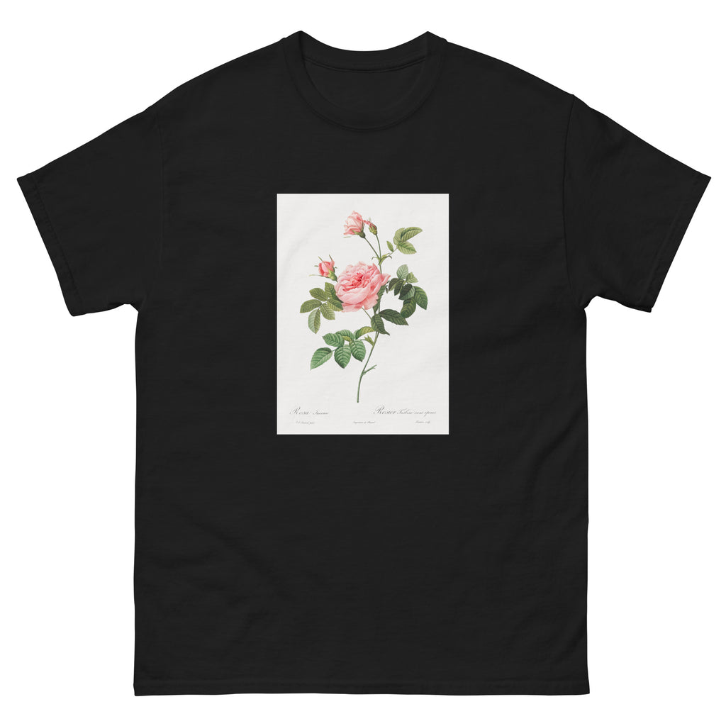 Black T-shirt Boursault Rose Also Known As Rose Turbine Without Thorns Rosa Inermis Essential