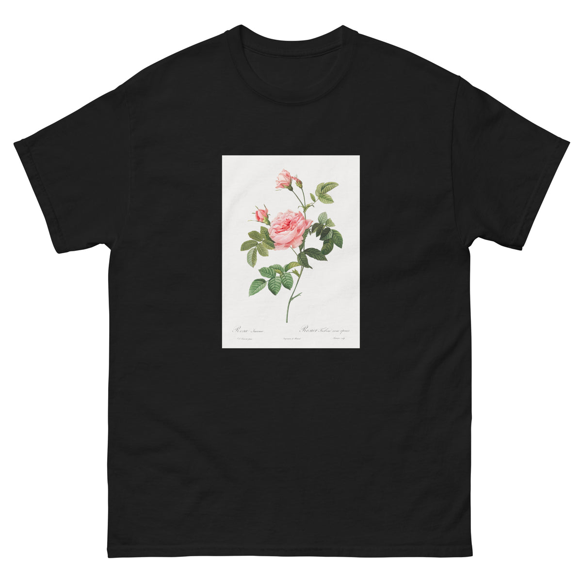 Black T-shirt Boursault Rose Also Known As Rose Turbine Without Thorns Rosa Inermis Essential