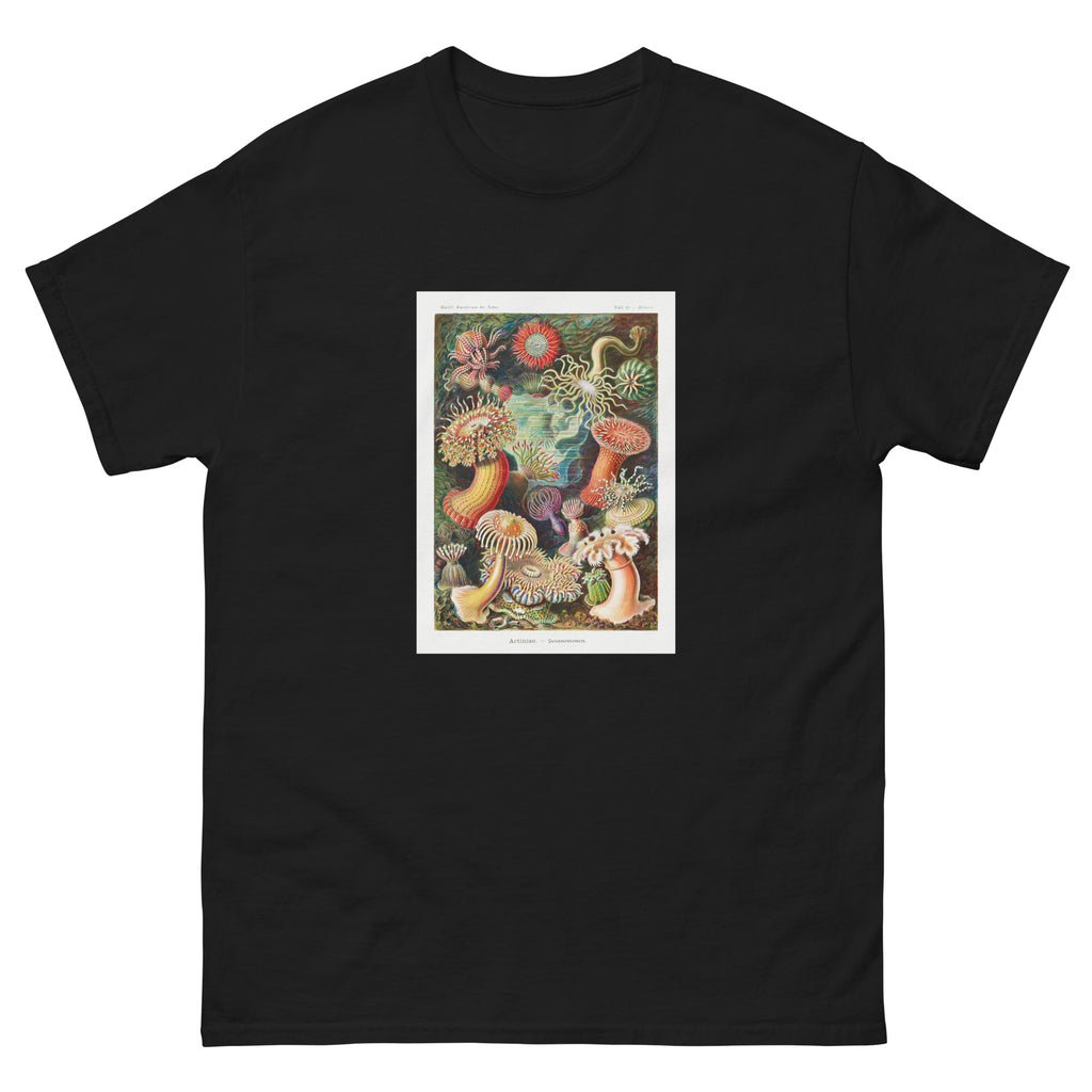 Black T-shirt Actiniae Seeanemonen Essential