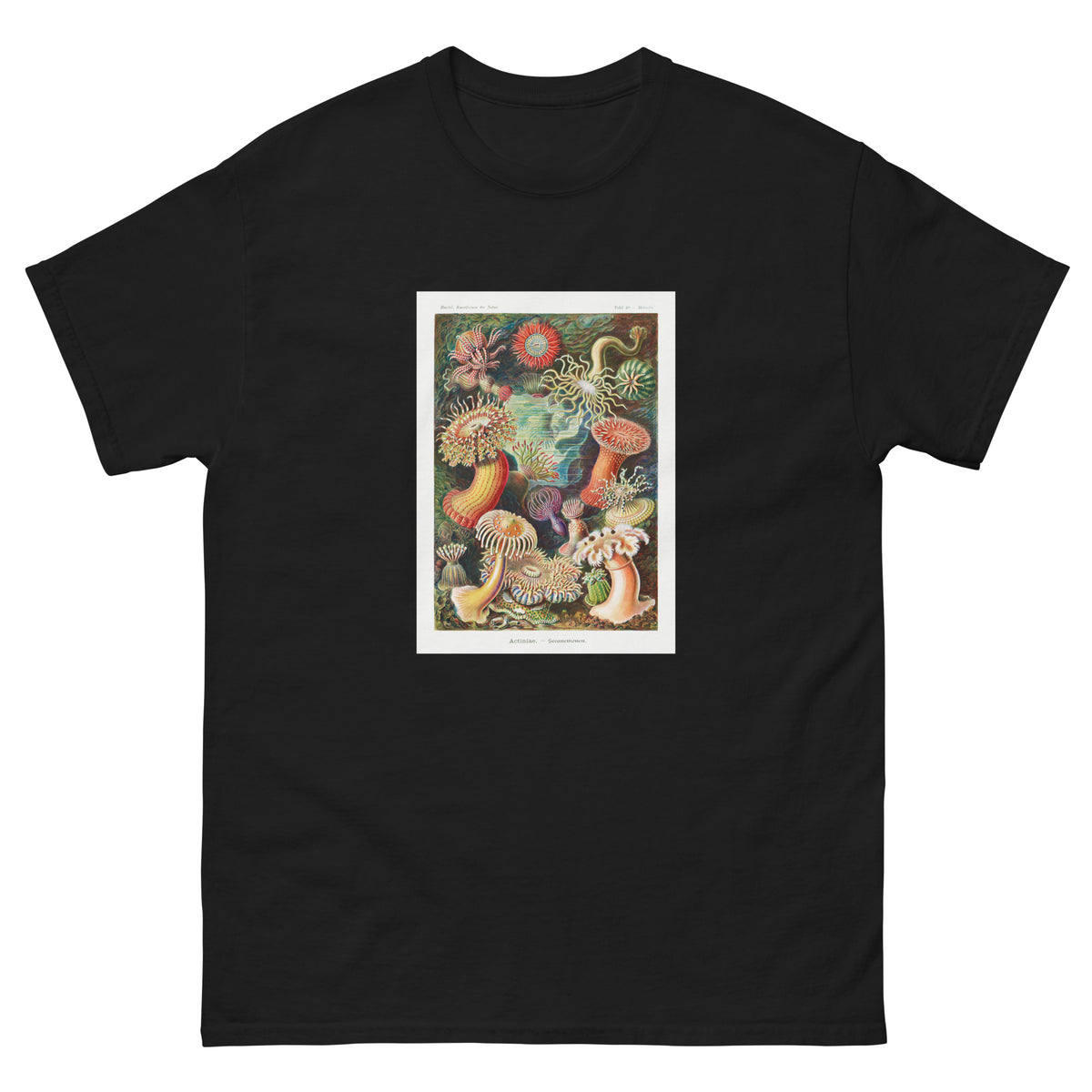 Black T-shirt Actiniae Seeanemonen Essential
