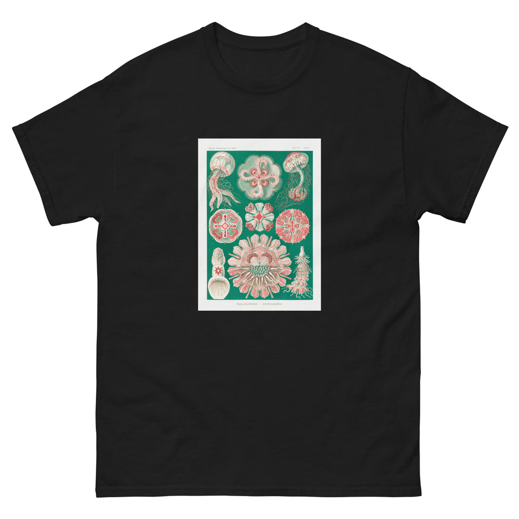 Black T-shirt Discomedusae Schweibenquallen Essential