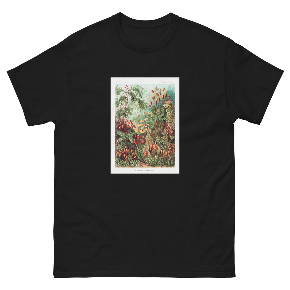 Black T-shirt Muscinae Laubmoose A Giltsch Gem Essential