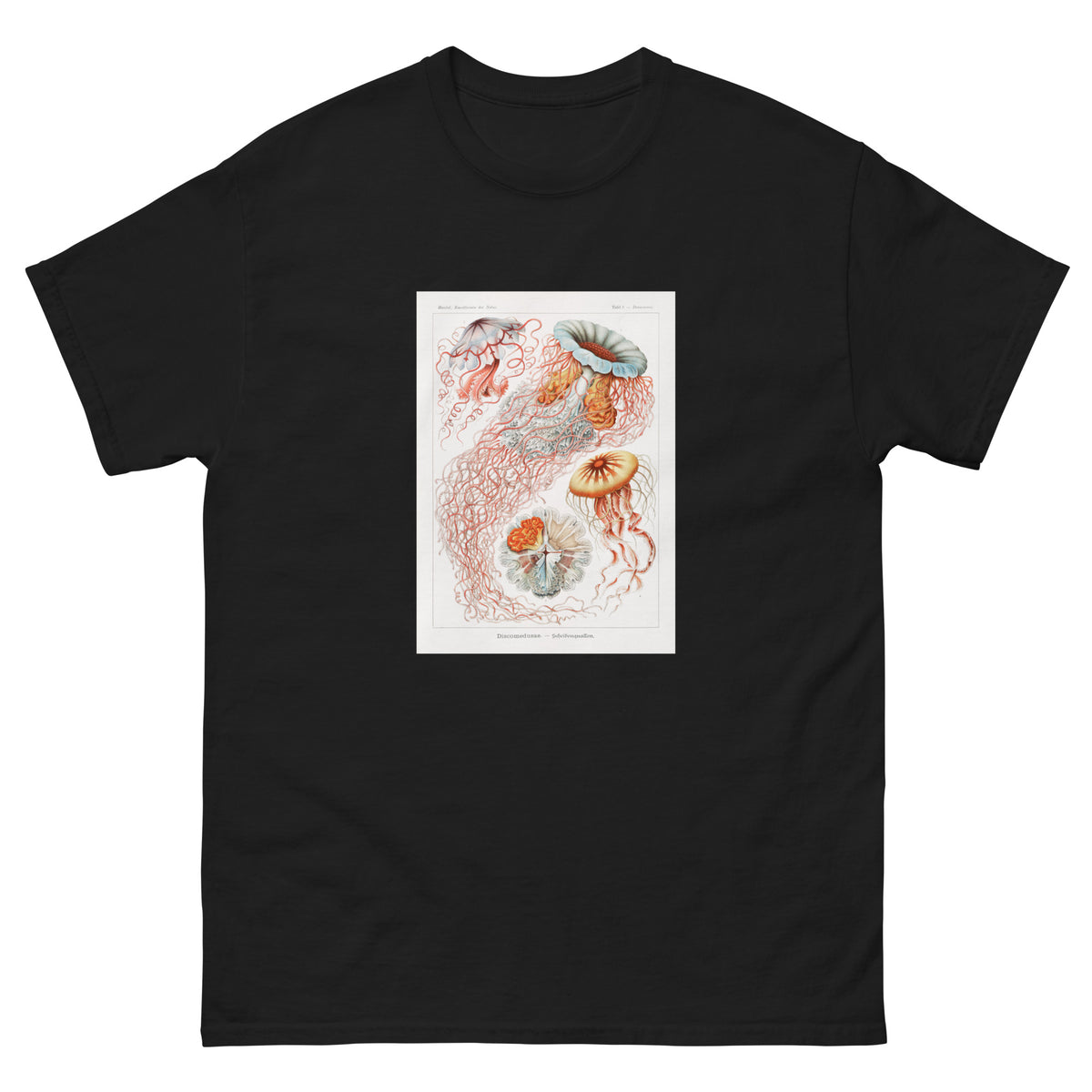 Black T-shirt Discomedusae Scheibenquallen Essential