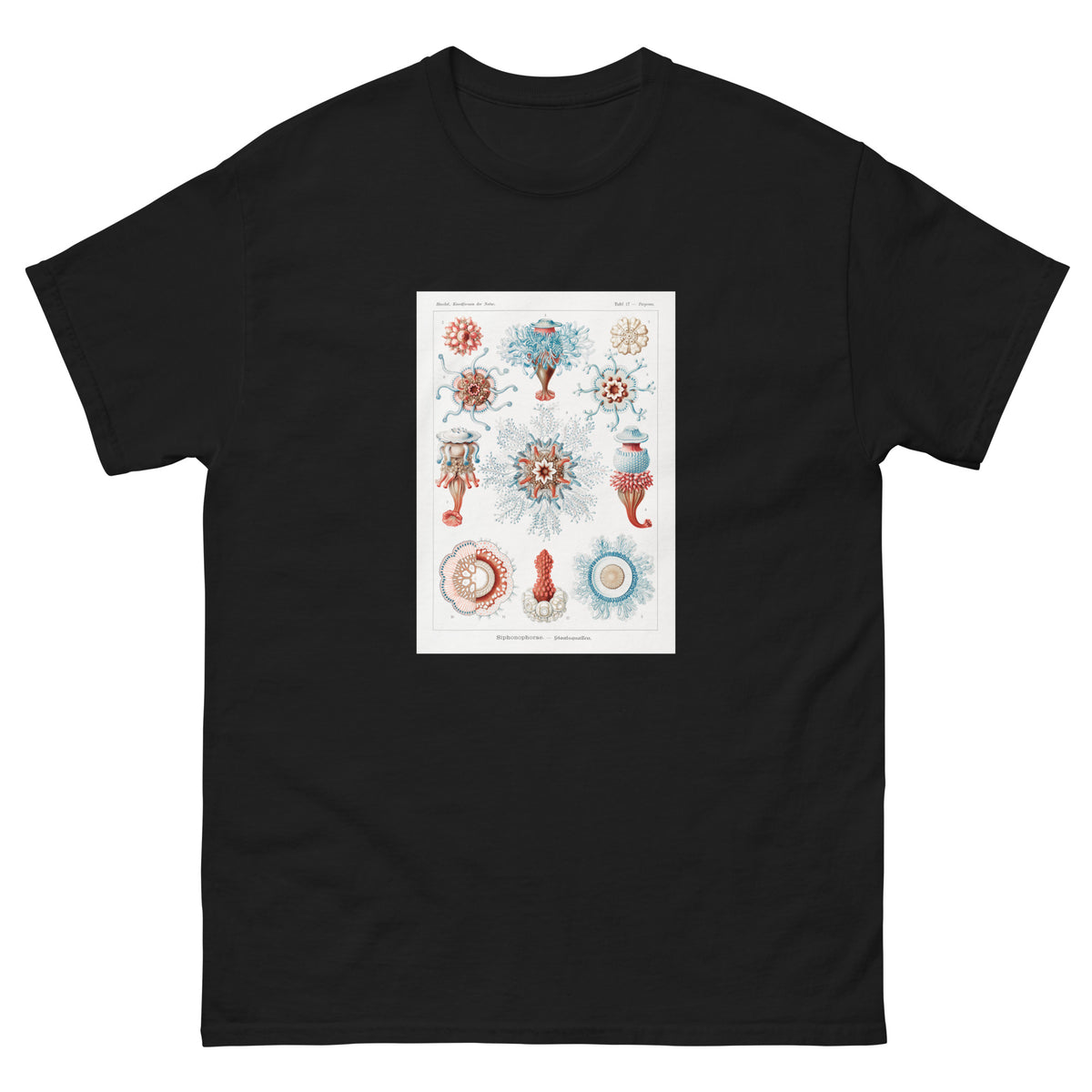 Black T-shirt Siphonophorae Staatsquallen Essential