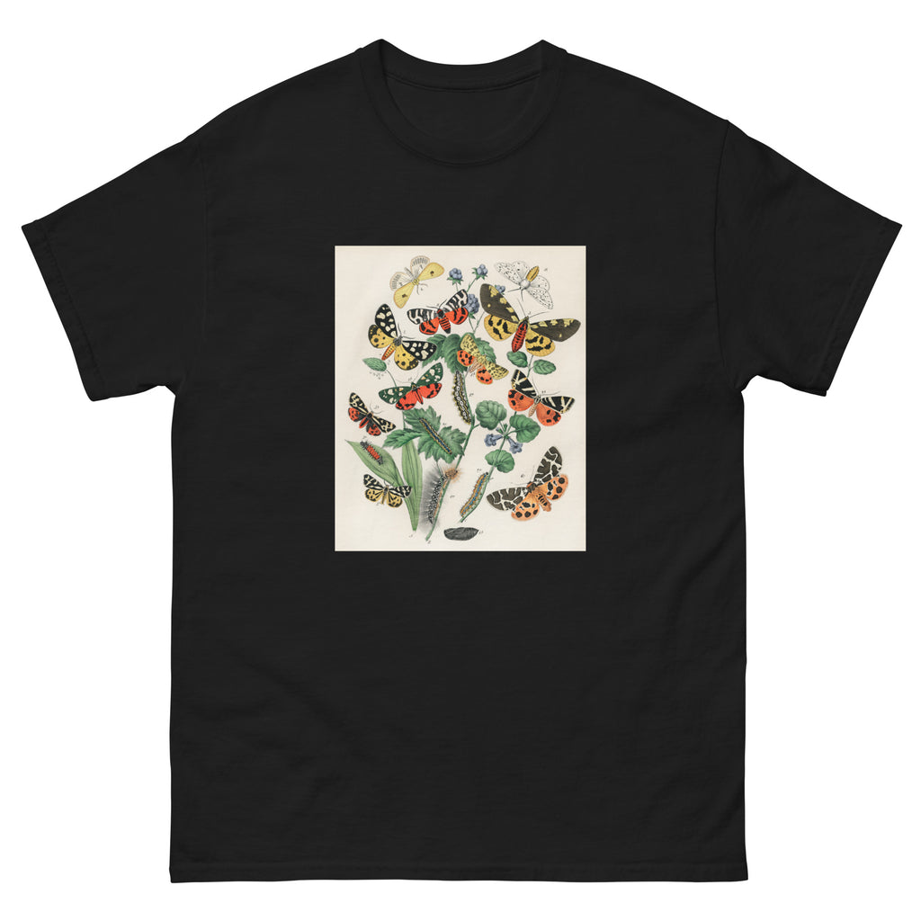 Black T-shirt Illustrations - William Forsell Kirby 1882 Essential