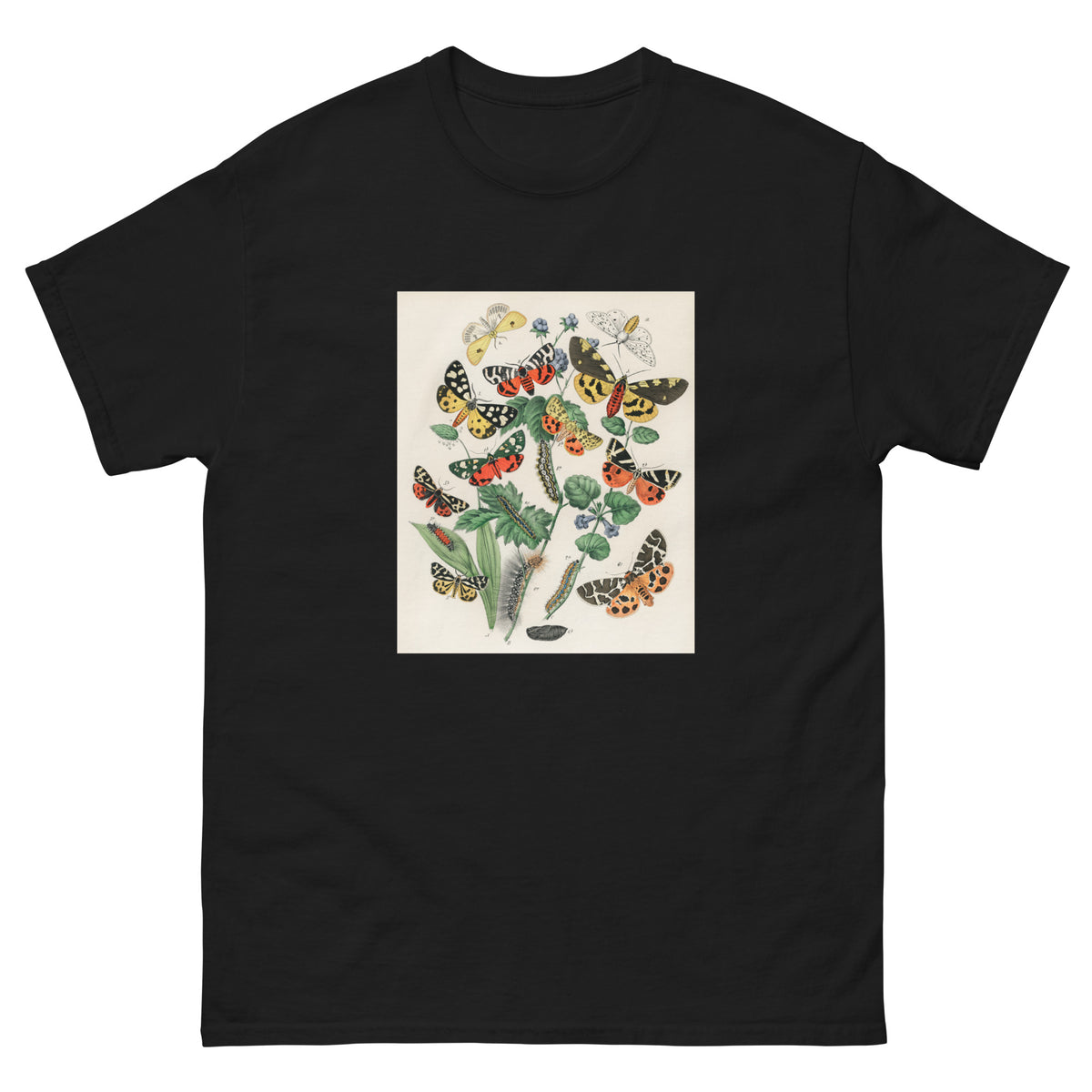 Black T-shirt Illustrations - William Forsell Kirby 1882 Essential
