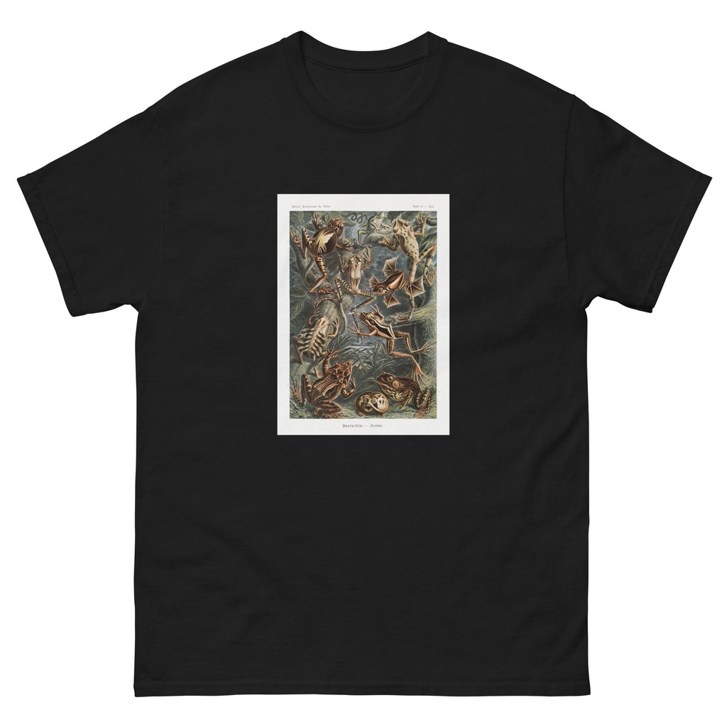 Black T-shirt Batrachia Frosche Essential