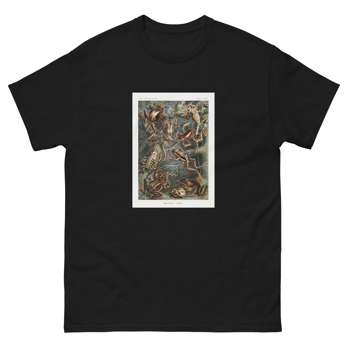 Black T-shirt Batrachia Frosche Essential