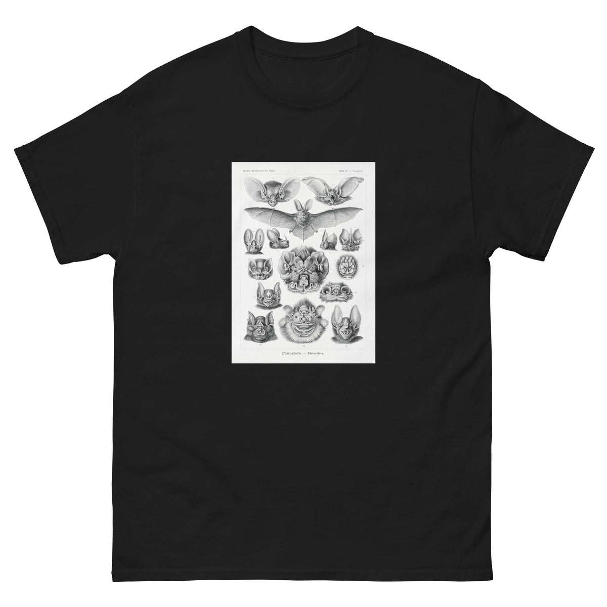Black T-shirt Chiroptera Fledertiere Essential
