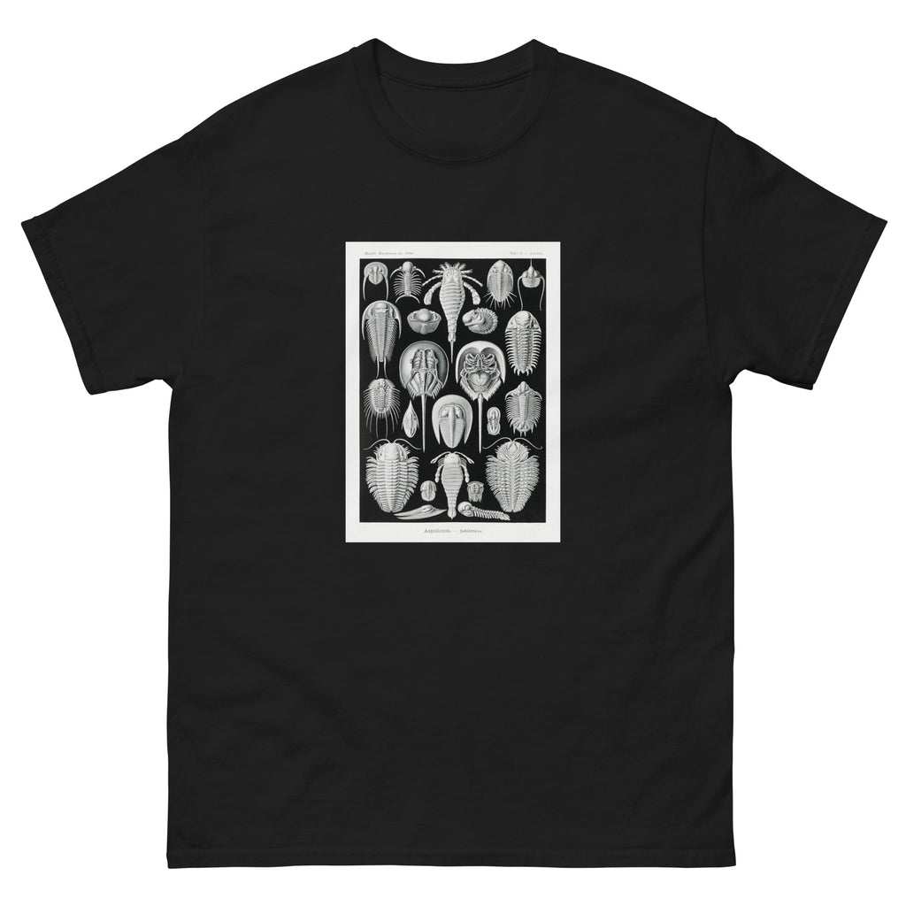 Black T-shirt Aspidonia Schildtiere Essential