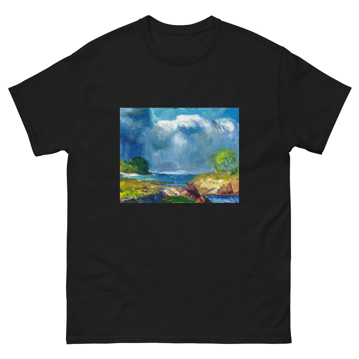 Black T-shirt The Coming Storm Essential