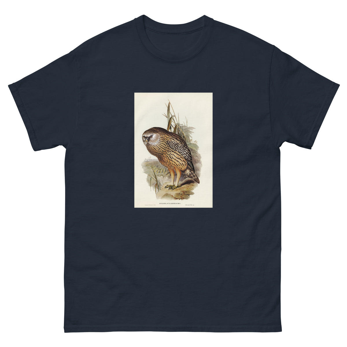 Navy T-shirt Wekau Sceloglaux Albifacies Illustrated - Elizabeth Gould 1804 Essential