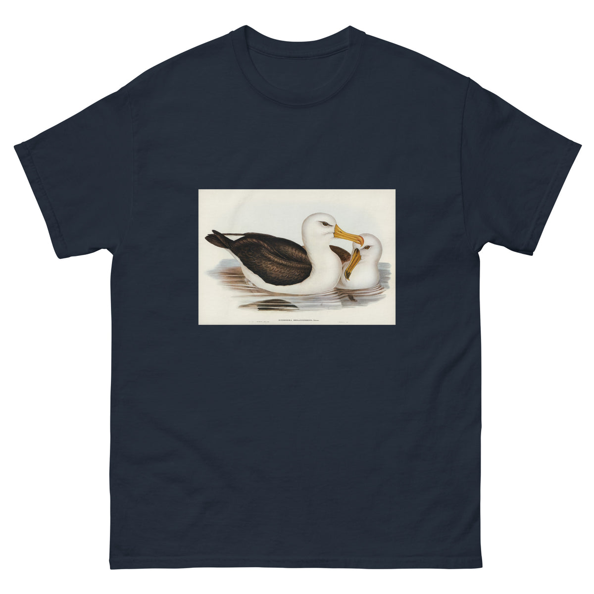 Navy T-shirt Black-Eyebrowed Albatros Diomedea Melanophrys Illustrated - Elizabeth Gould 1804 Essential