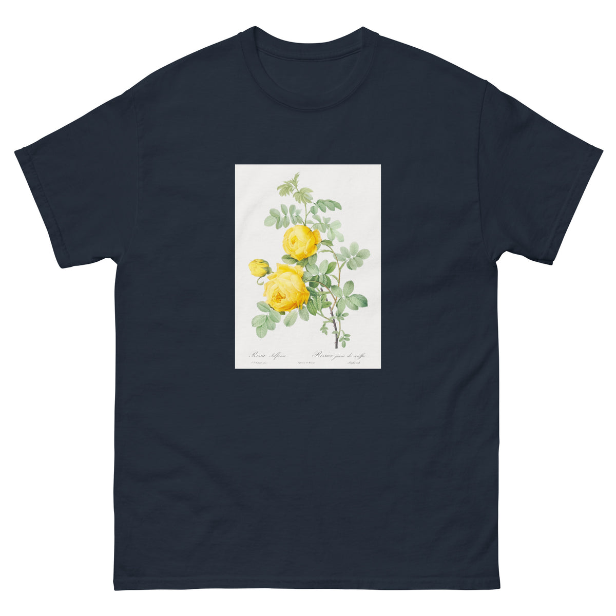 Navy T-shirt Rosa Hemisphaerica Also Known As Yellow Rose Of Sulfur Rosa Sulfurea Essential