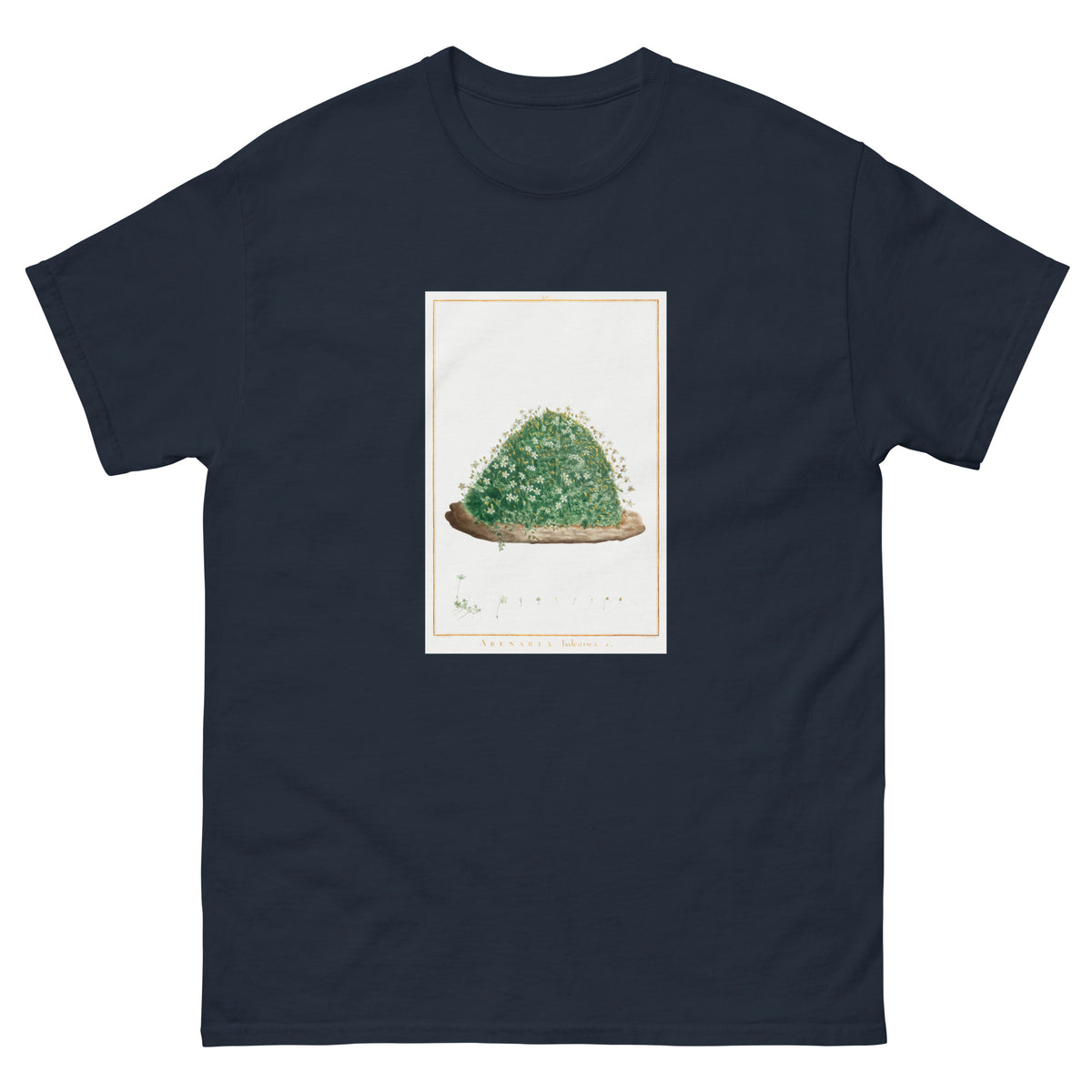 Navy T-shirt Arenaria Balearica Image - Pierre-Joseph Redoute And Charles Louis L Heritier 1784 Essential