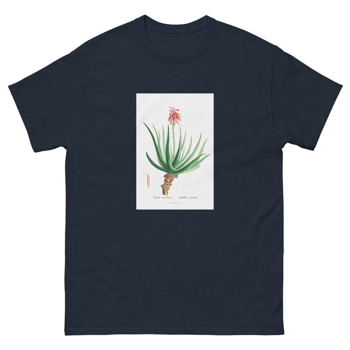 Navy T-shirt Aloe Socotrina Image Essential