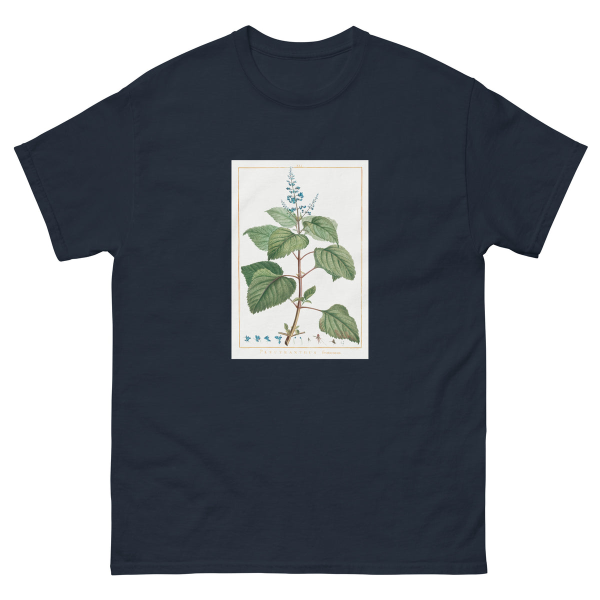 Navy T-shirt Plectranthus Fruticosus Image - Pierre-Joseph Redoute And Charles Louis 1784 Essential
