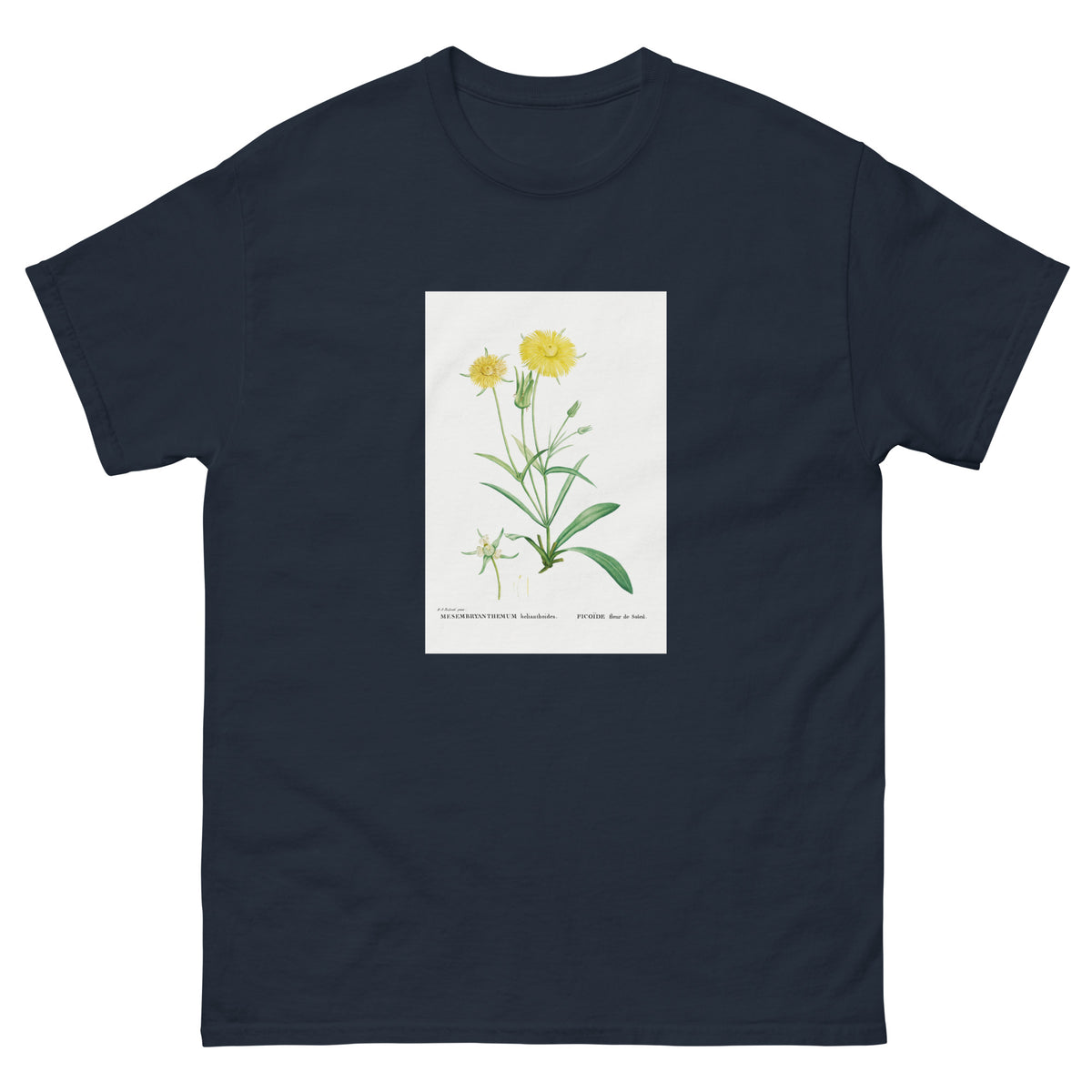 Navy T-shirt Mesembryanthemum Helianthoides Spatula Leaved Fig Marigold - Pierre-Joseph 1799 Essential