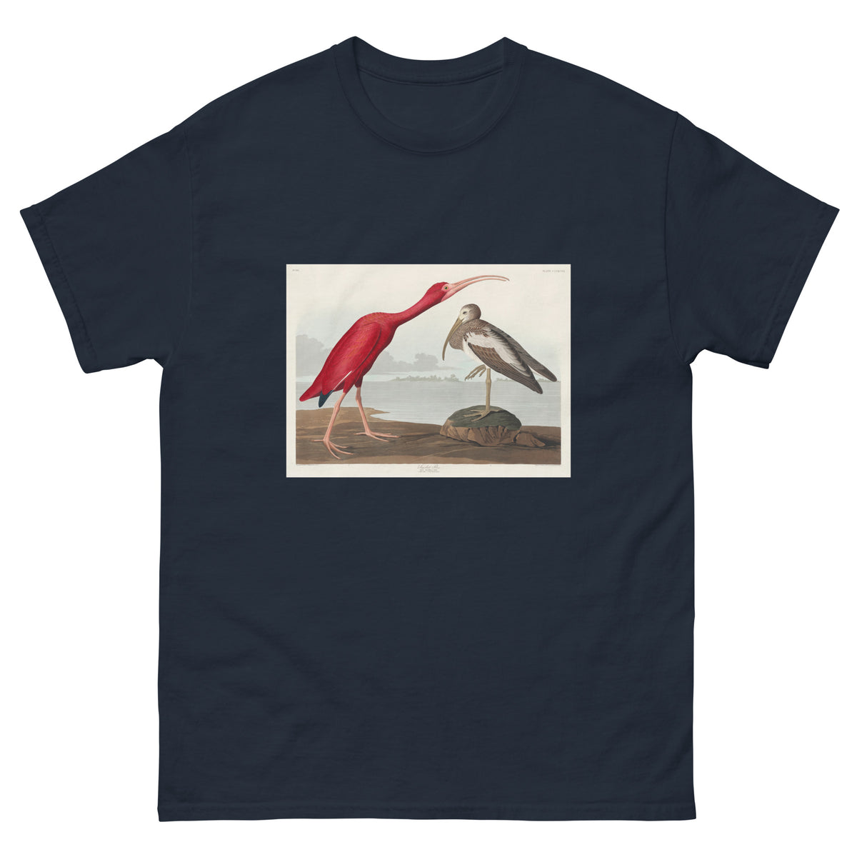 Navy T-shirt Scarlet Ibis - John James Audubon 1827 Essential