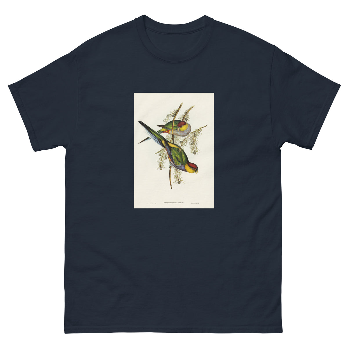 Navy T-shirt Red-Capped Parakeet Platycercus Pileatus Illustrated - Elizabeth Gould 1804 Essential