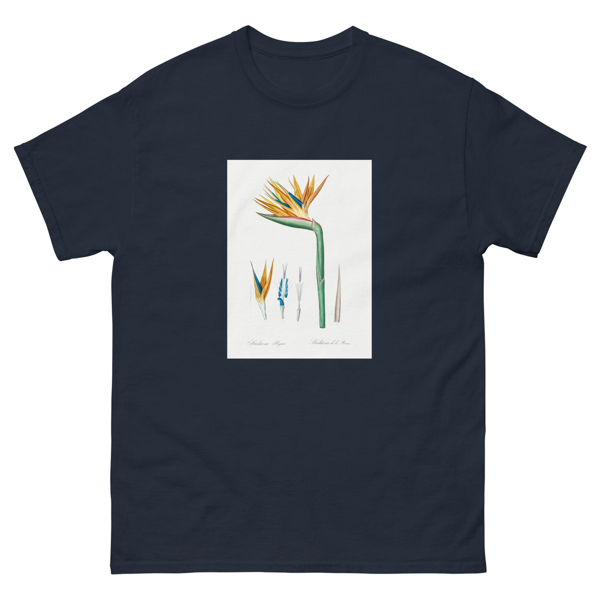 Navy T-shirt Bird Of Paradise Illustration Essential
