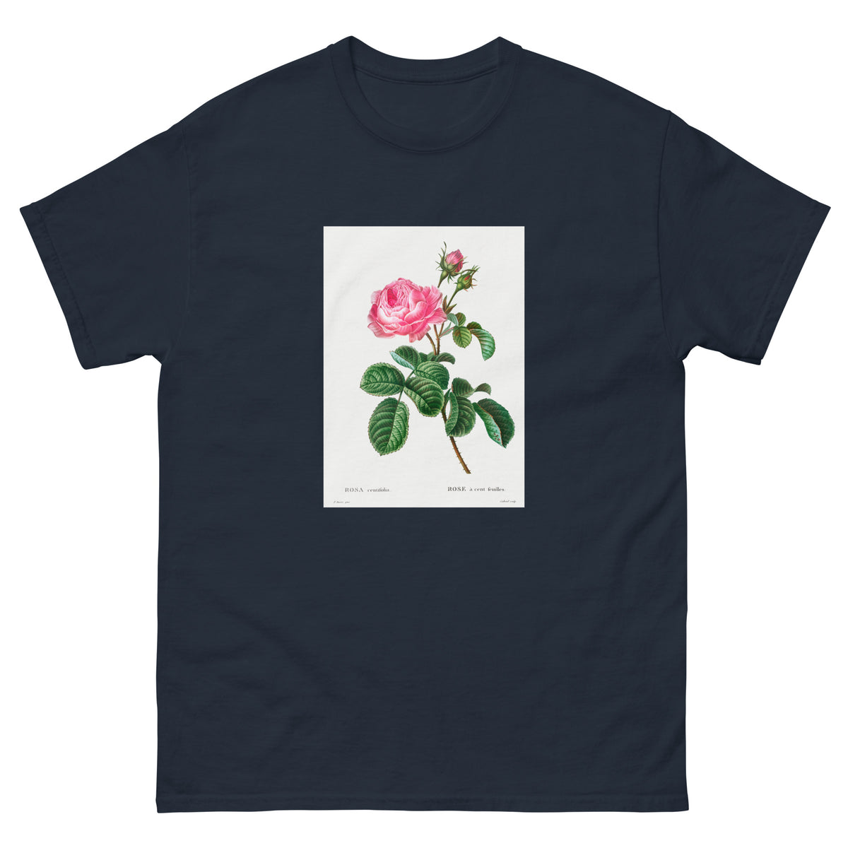 Navy T-shirt Cabbage Rose Rosa Centifolia Essential