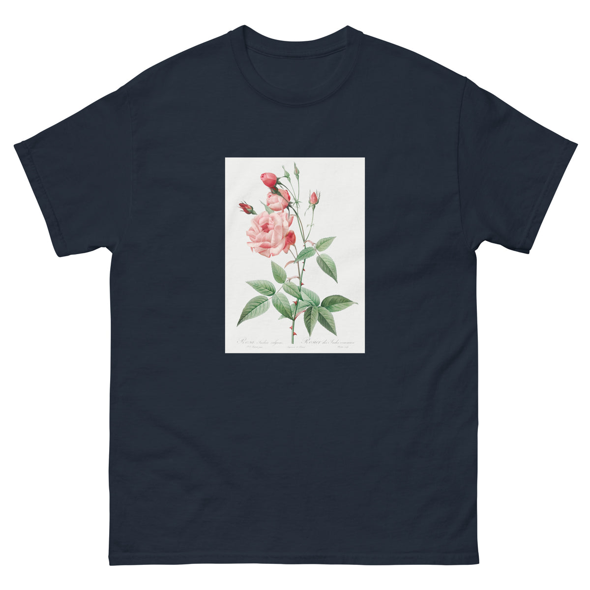 Navy T-shirt Old Blush China Also Known As Common Rose Of India Rosa Indica Vulgaris Essential