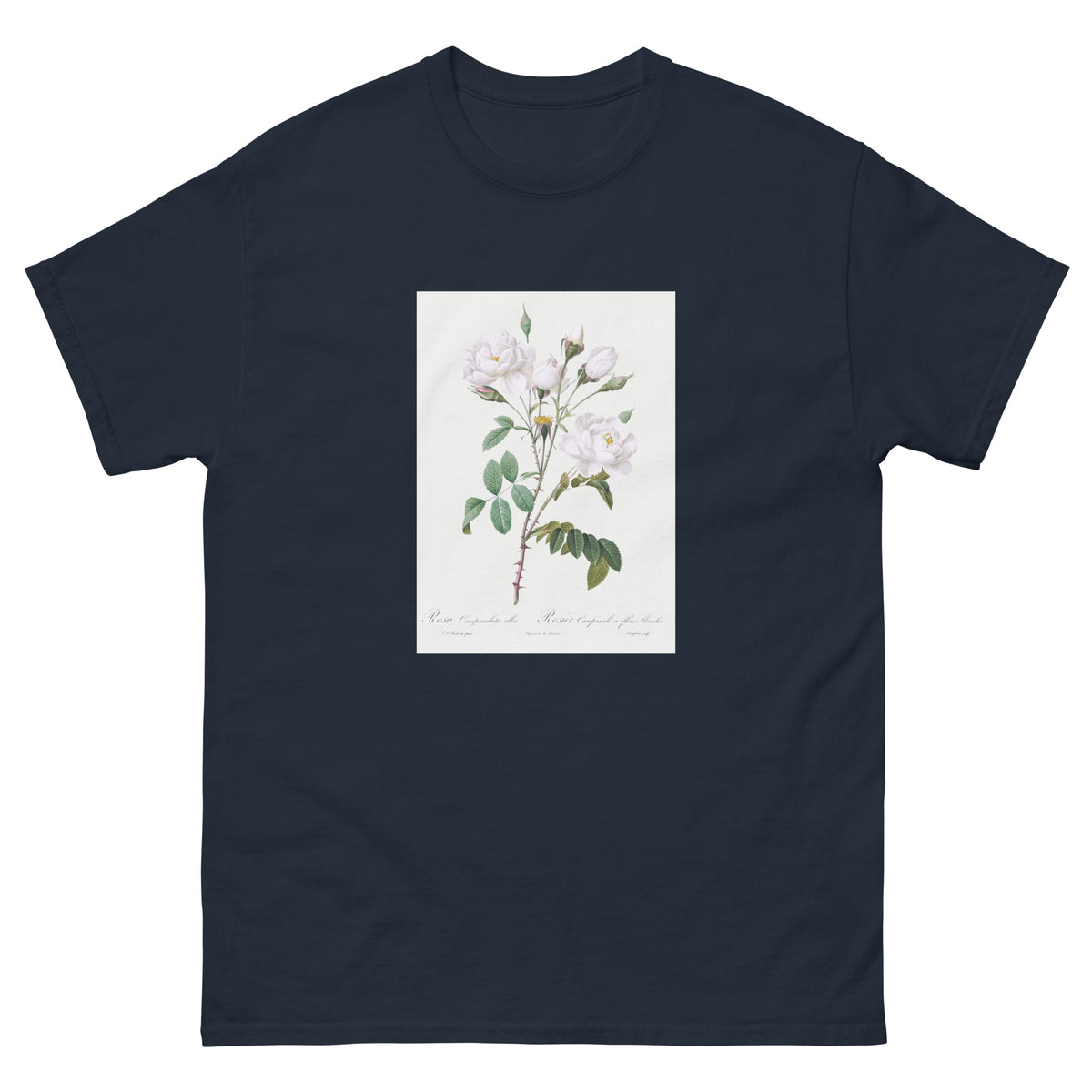 Navy T-shirt Rosa Campanulata Alba Also Known As Pink Bellflowers To White Flowers Essential