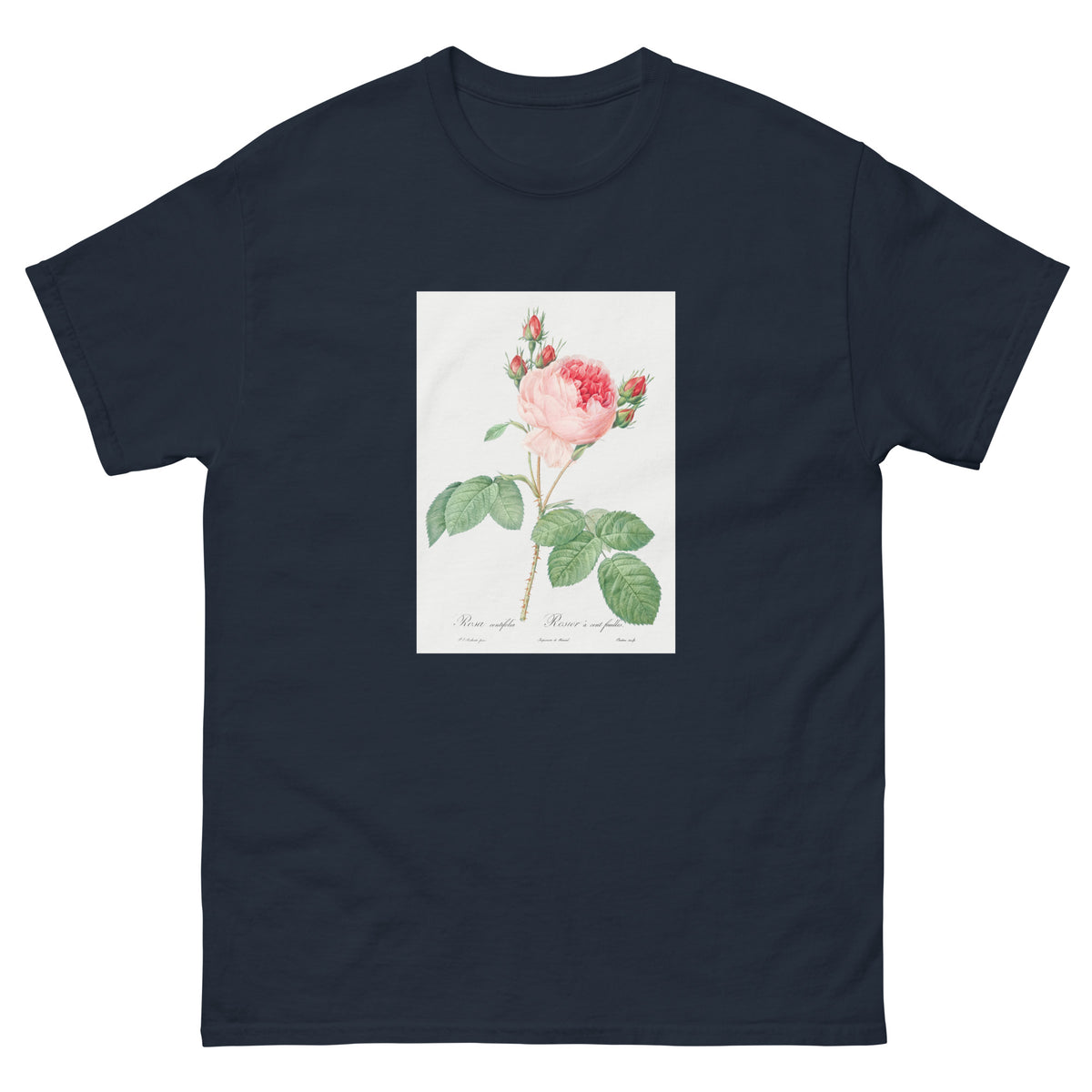 Navy T-shirt Cabbage Rose Also Known As One Hundred-Leaved Rose Rosa Centifolia Essential
