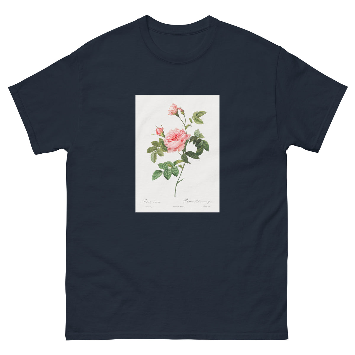 Navy T-shirt Boursault Rose Also Known As Rose Turbine Without Thorns Rosa Inermis Essential