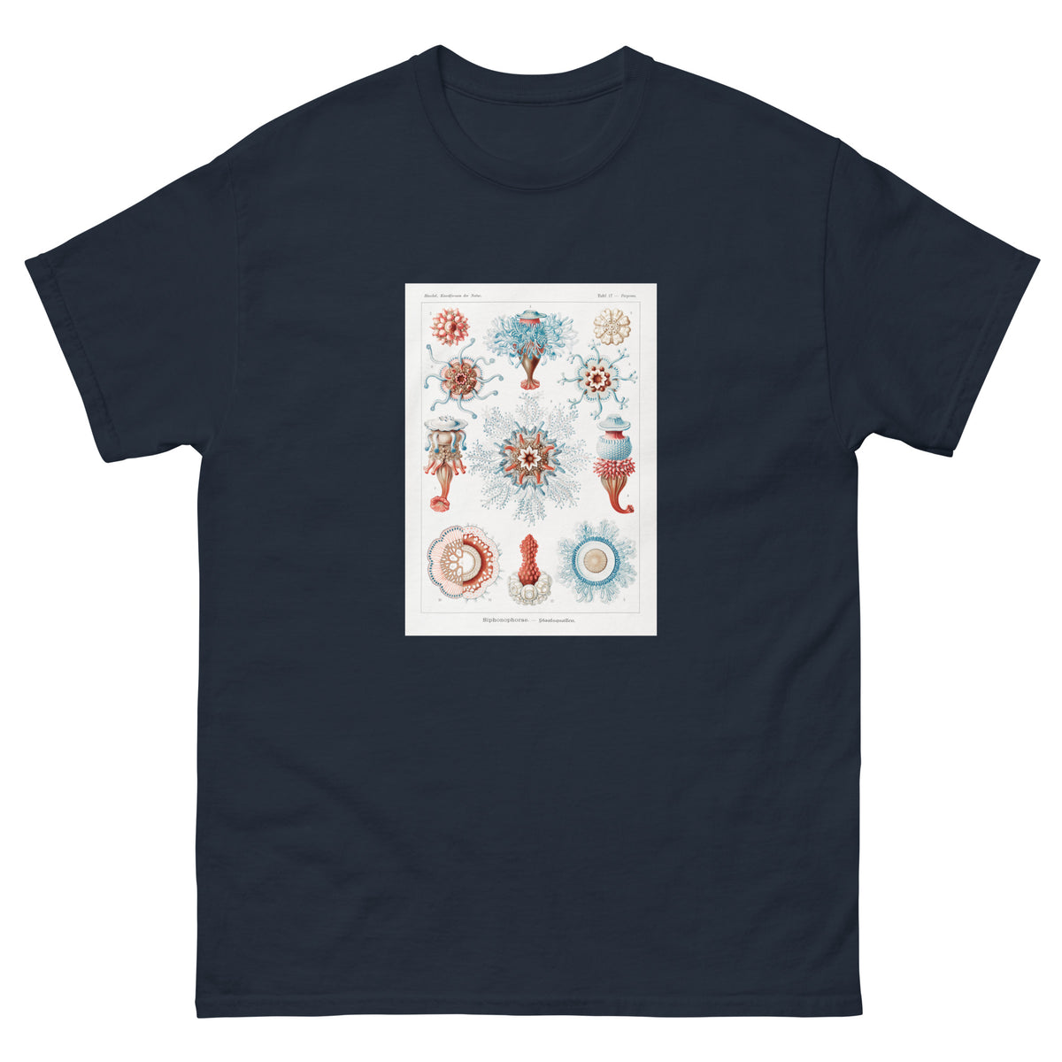 Navy T-shirt Siphonophorae Staatsquallen Essential