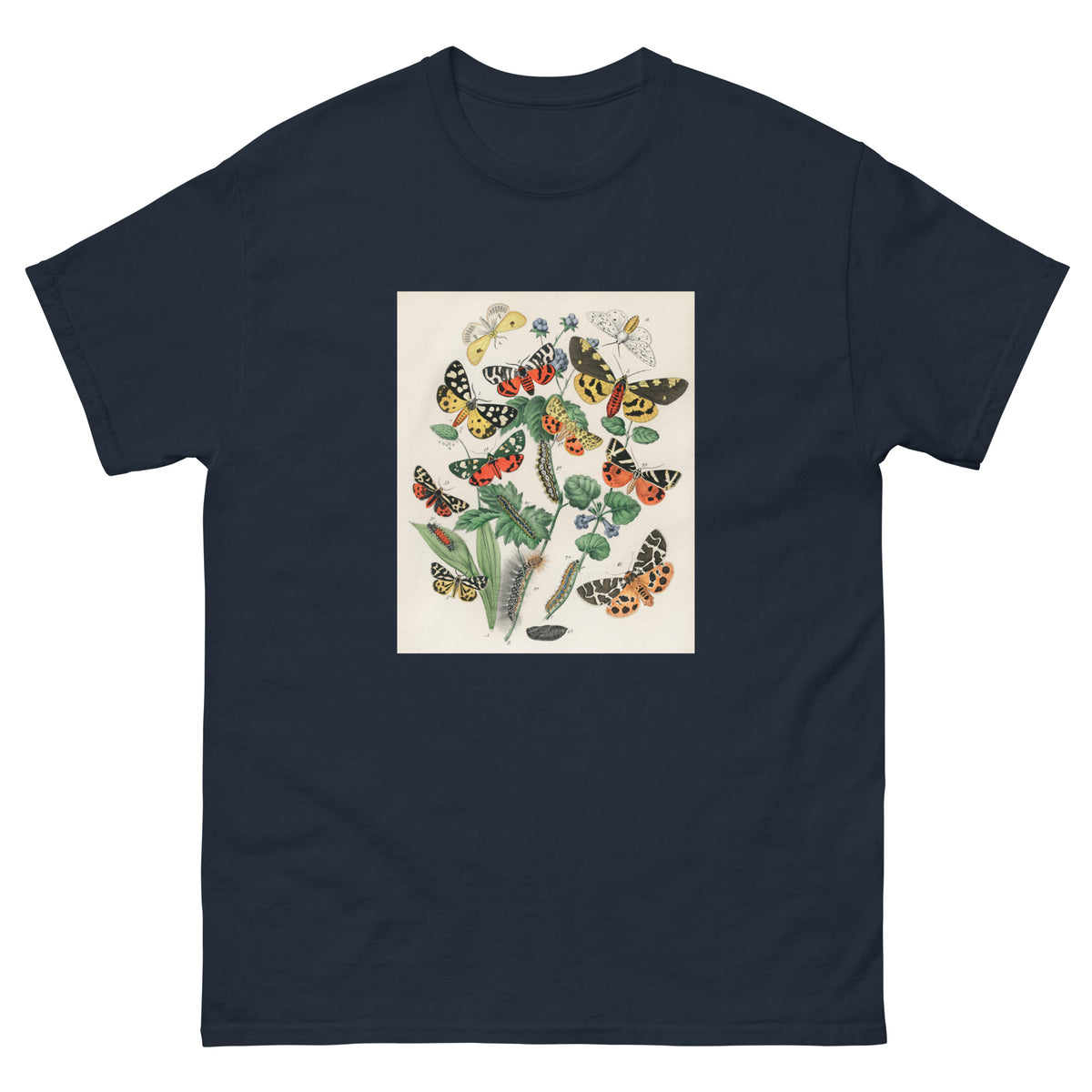 Navy T-shirt Illustrations - William Forsell Kirby 1882 Essential