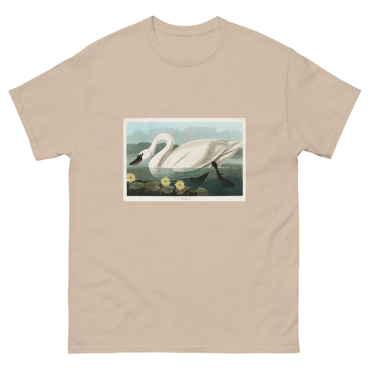 Sand T-shirt Common American Swan - John James Audubon 1827 Essential