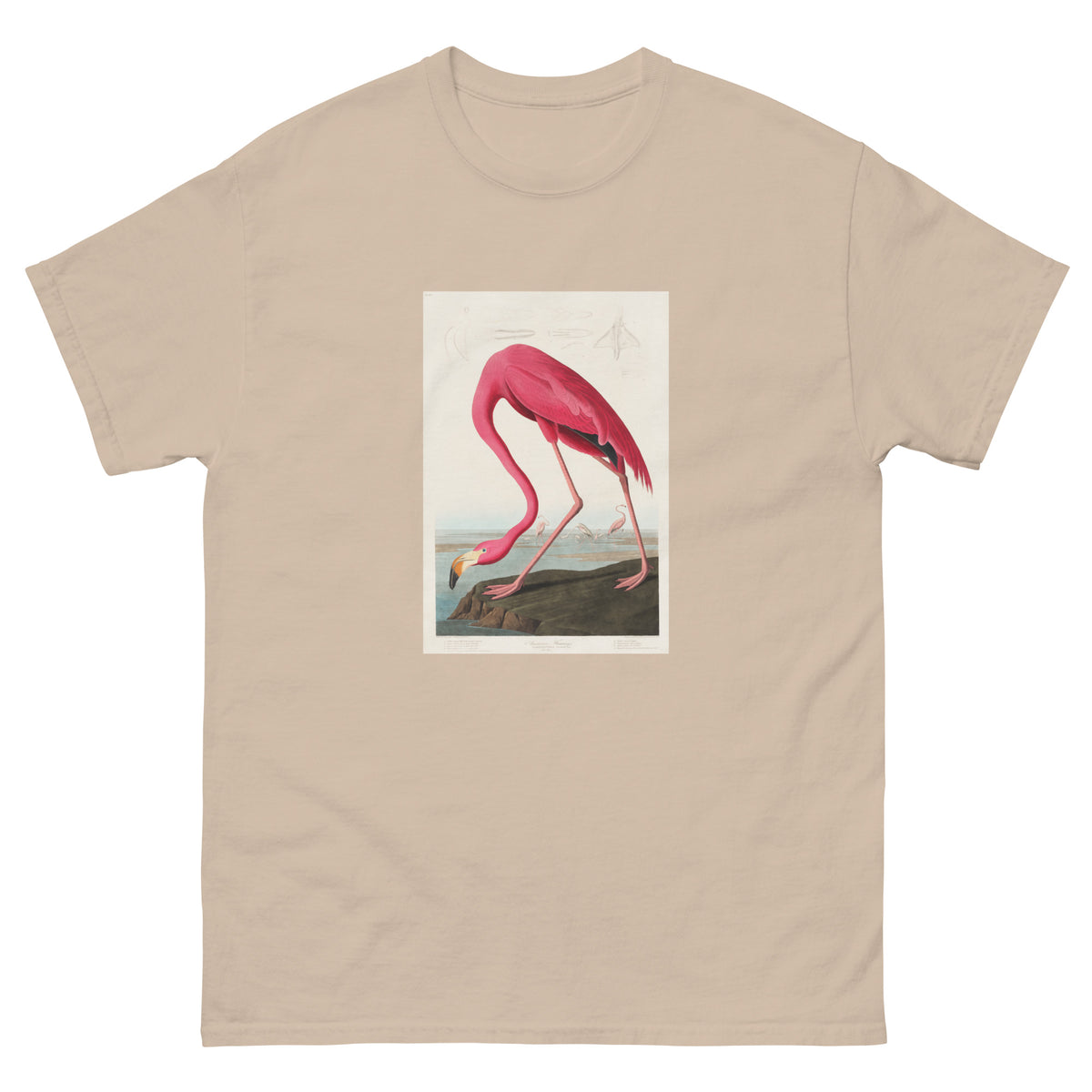 Sand T-shirt Pink Flamingo - John James Audubon 1827 Essential