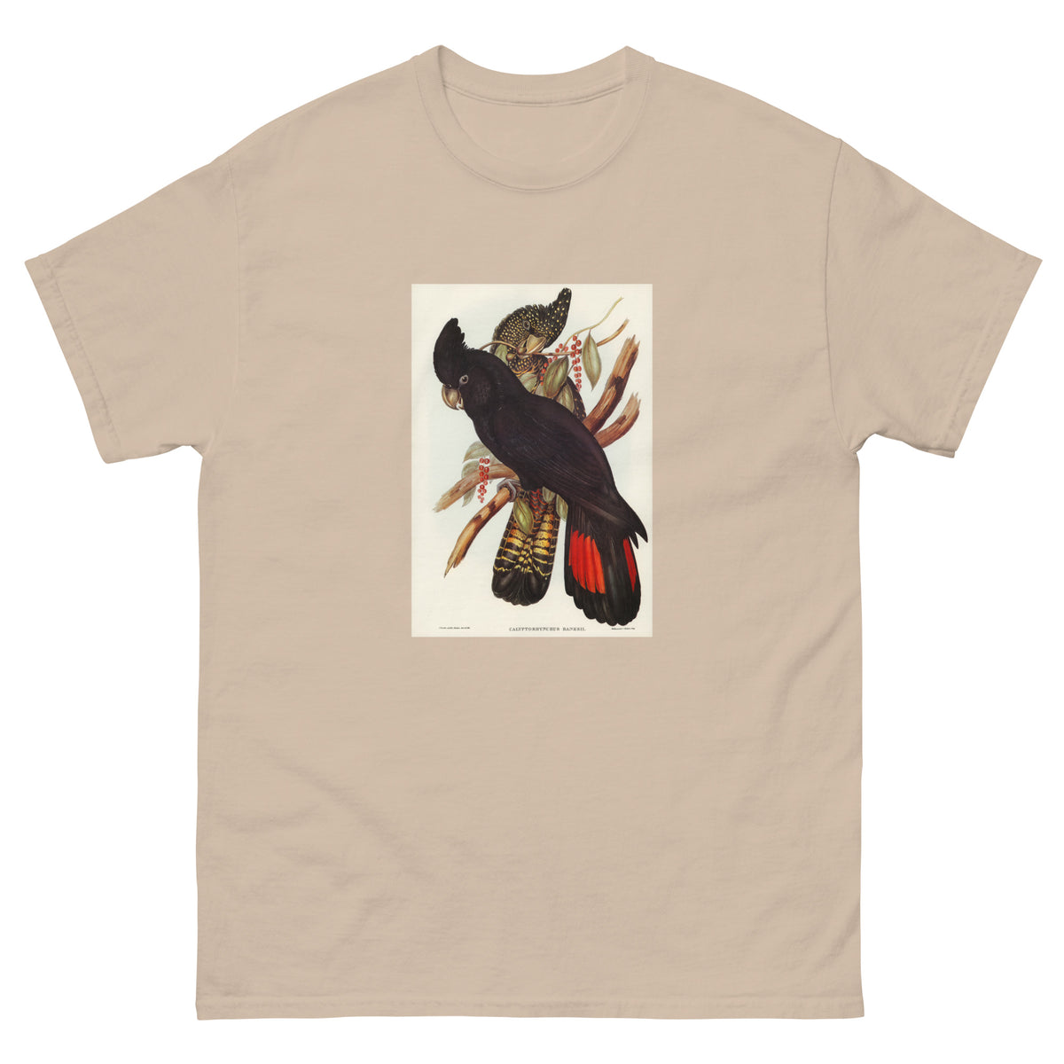 Sand T-shirt Banksian Cockatoo Calyptorhynchus Banksii Illustrated - Elizabeth Gould 1804 Essential