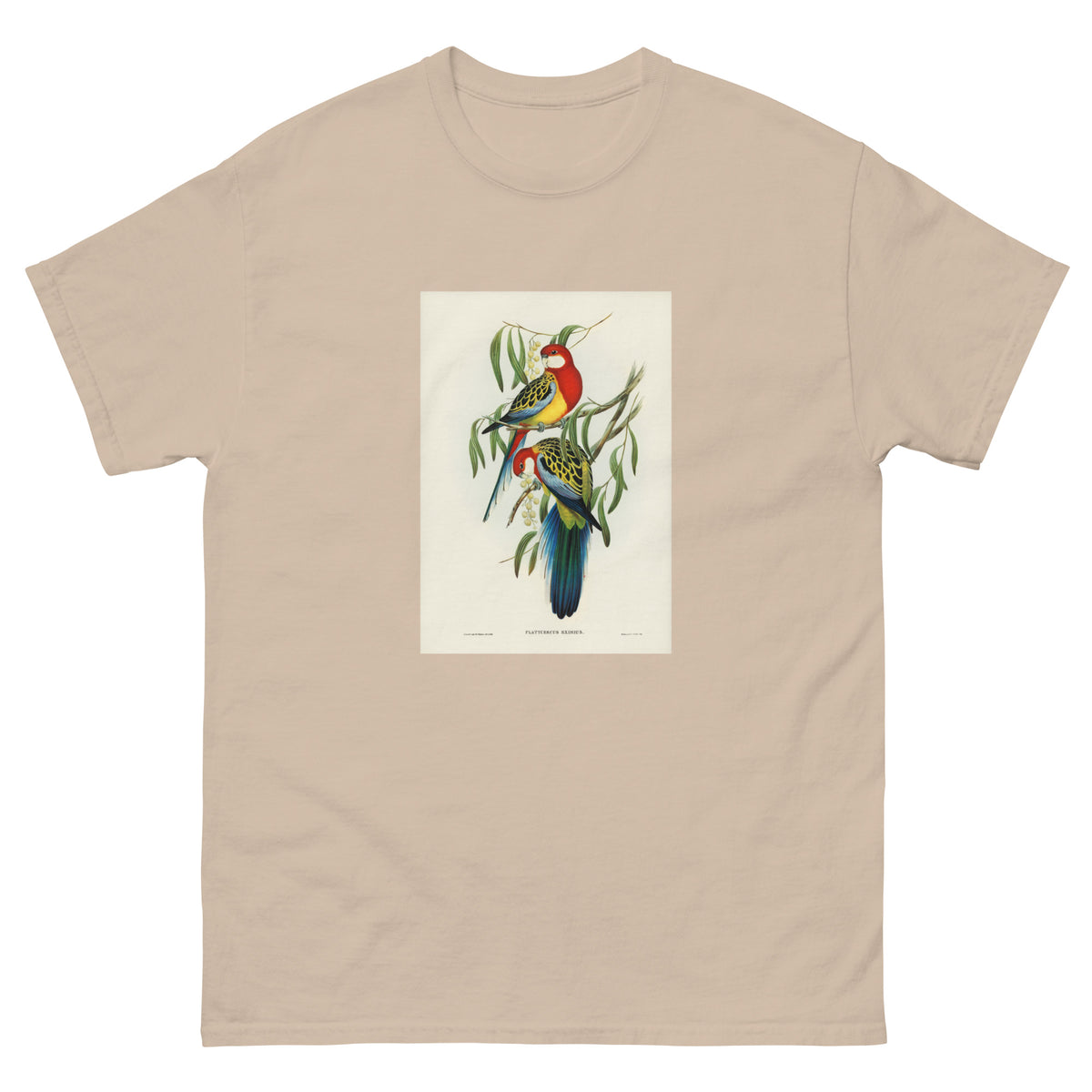 Sand T-shirt Rose-Hill Parakeet Platycercus Eximius Illustrated - Elizabeth Gould 1804 Essential
