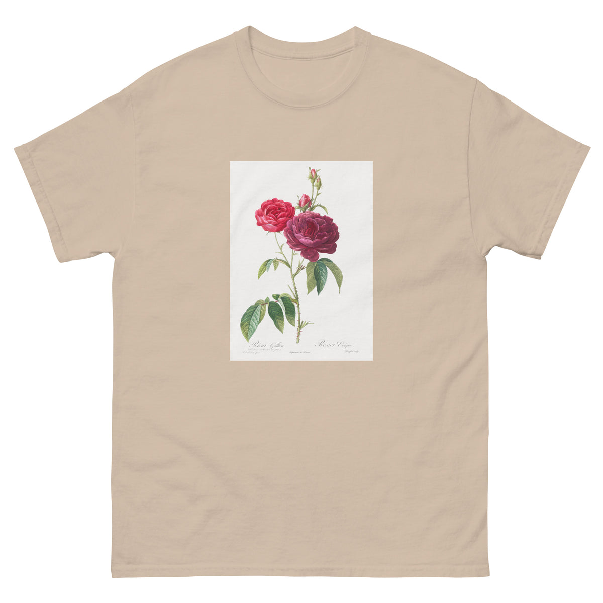 Sand T-shirt Purple French Rose Rosa Gallica Purpuro-Violacea Magna Essential