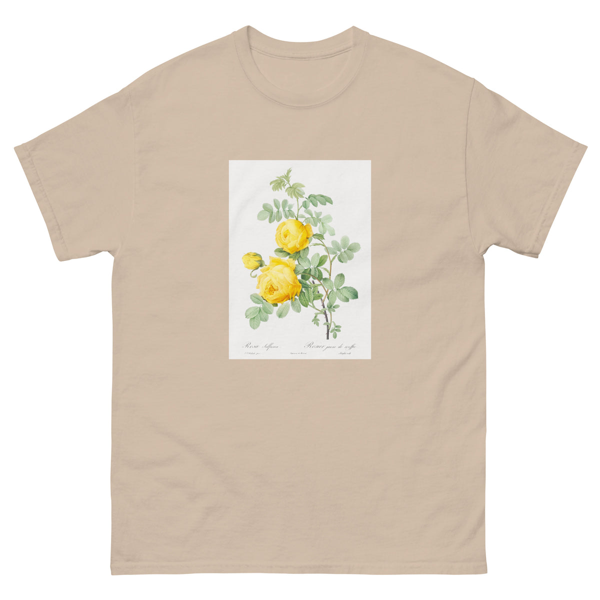 Sand T-shirt Rosa Hemisphaerica Also Known As Yellow Rose Of Sulfur Rosa Sulfurea Essential