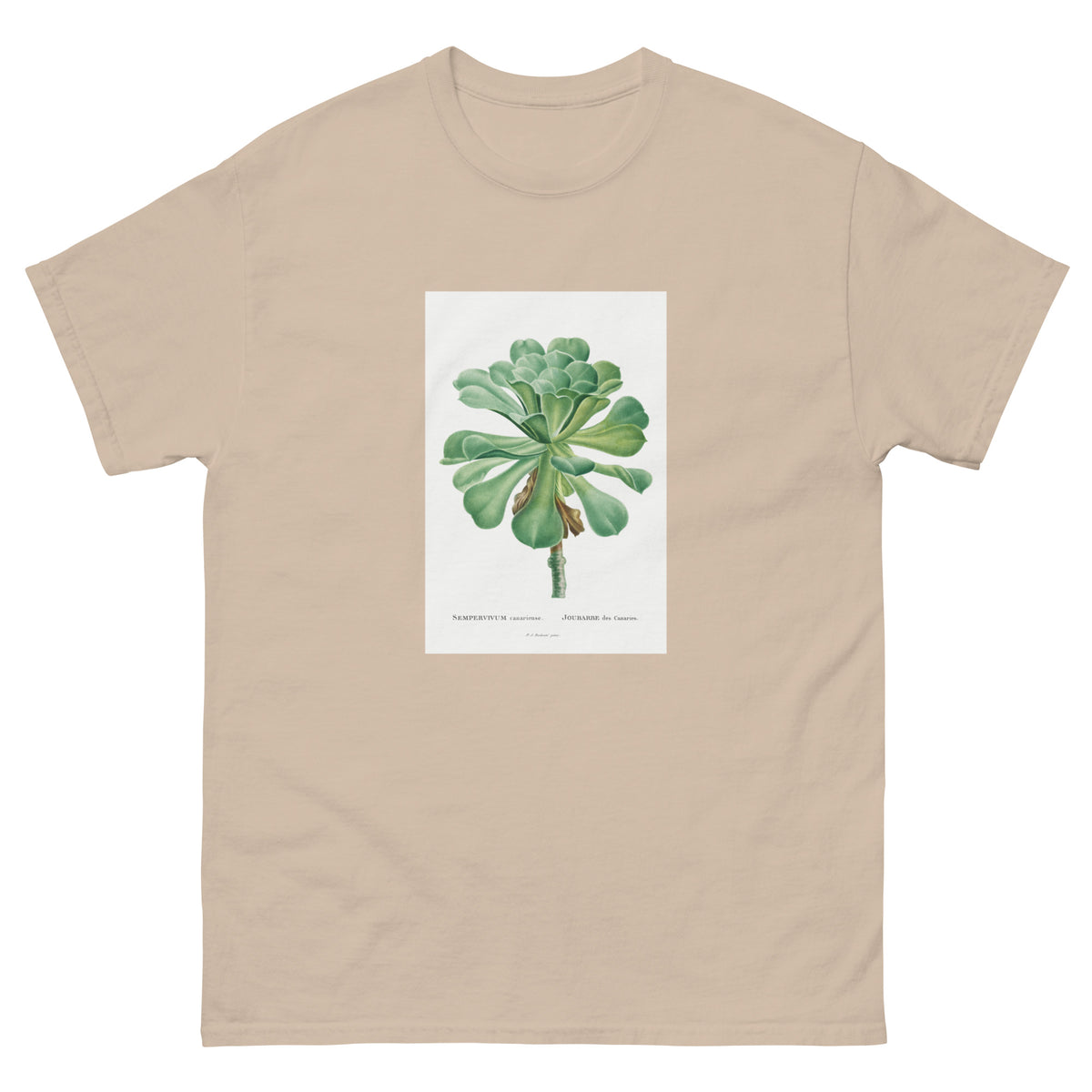 Sand T-shirt Sempervivum Canariense Image Essential