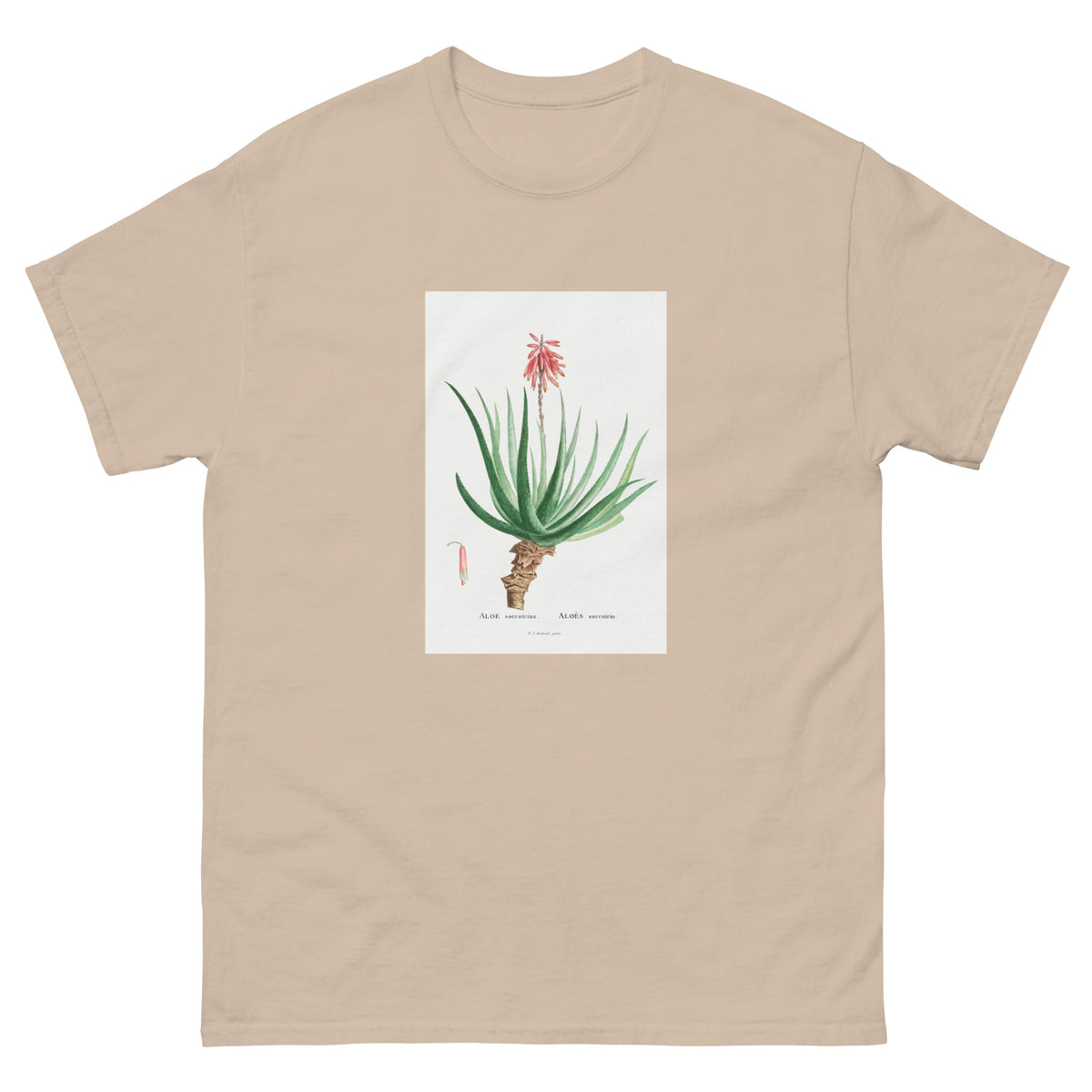 Sand T-shirt Aloe Socotrina Image Essential