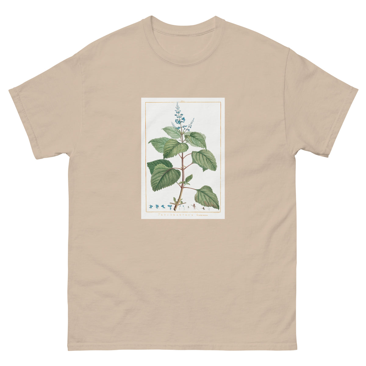 Sand T-shirt Plectranthus Fruticosus Image - Pierre-Joseph Redoute And Charles Louis 1784 Essential