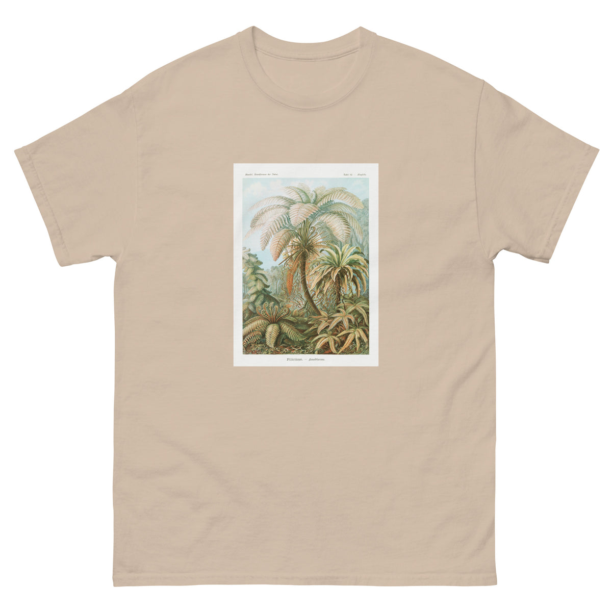 Sand T-shirt Filicinae Laubfarne Essential