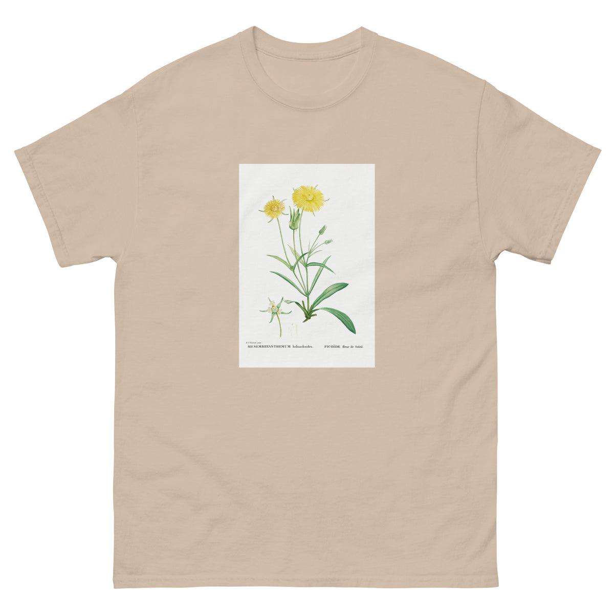 Sand T-shirt Mesembryanthemum Helianthoides Spatula Leaved Fig Marigold - Pierre-Joseph 1799 Essential